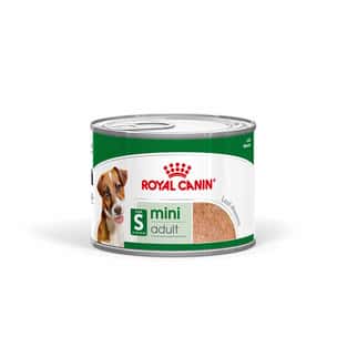 Mini Adult Loaf - Boîte