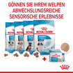Starter Mousse Mother&Babies - Dose
