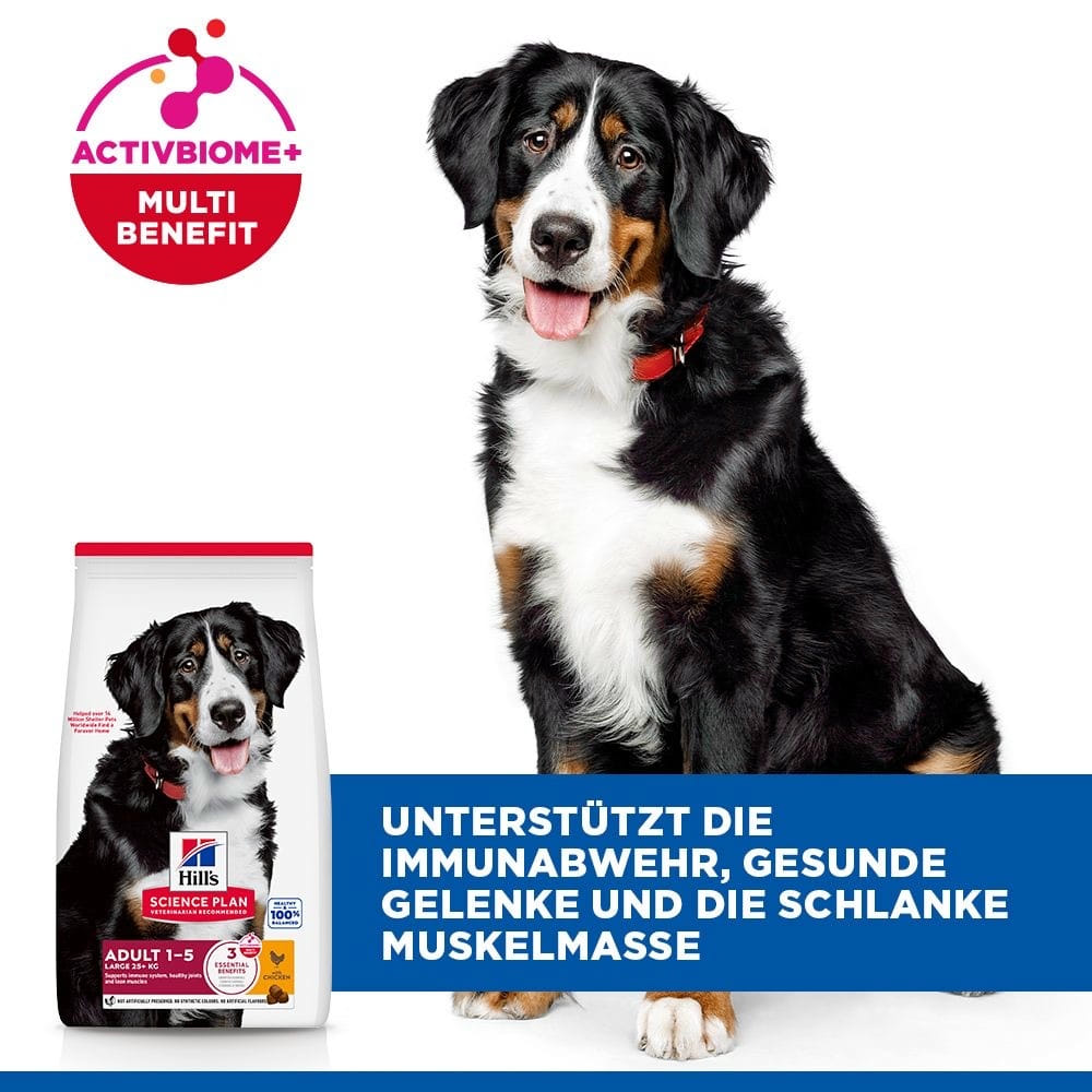 Canine Adult Large Breed Chicken