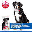 Canine Adult Large Breed Chicken