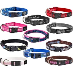 Collier pour chien Fancy Dress