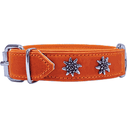Edelweiss-Halsband aus weichem Leder, orange