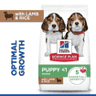 Puppy Medium Breed Lamb & Rice