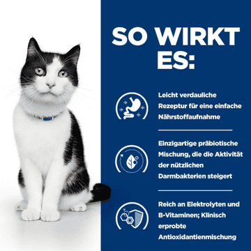 Feline i/d Digestive Care - Boîte