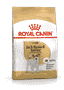 Jack Russel Terrier