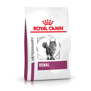 Renal Cat
