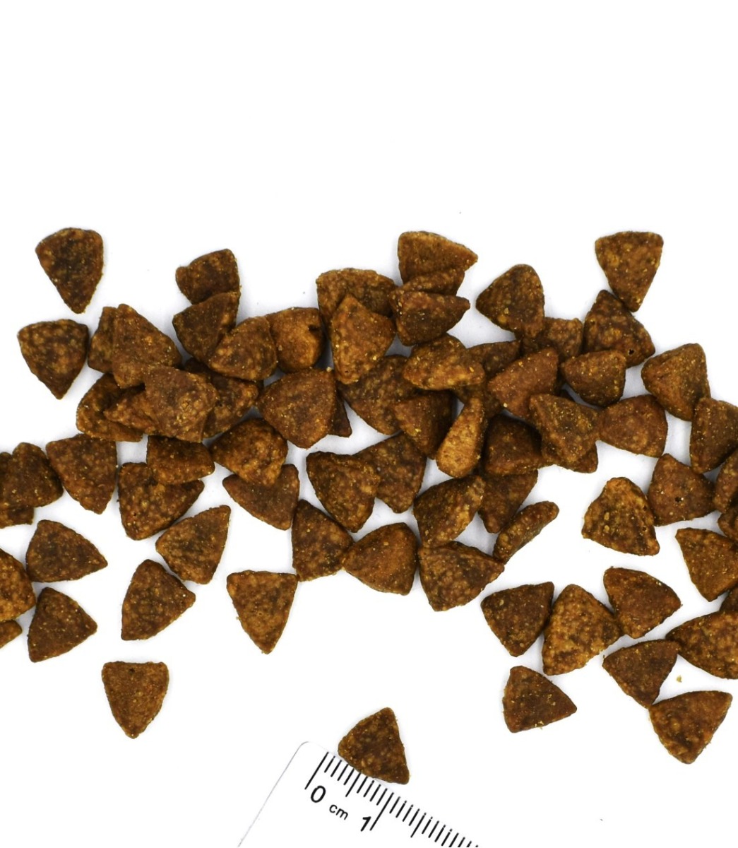 Gastrointestinal Dog Adult