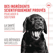 Immunity & Digestion Chews Puppy Supplements