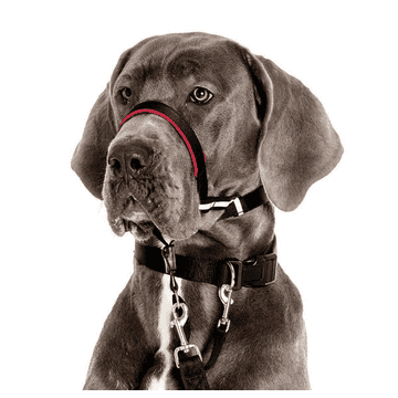 Optifit Headcollar, schwarz