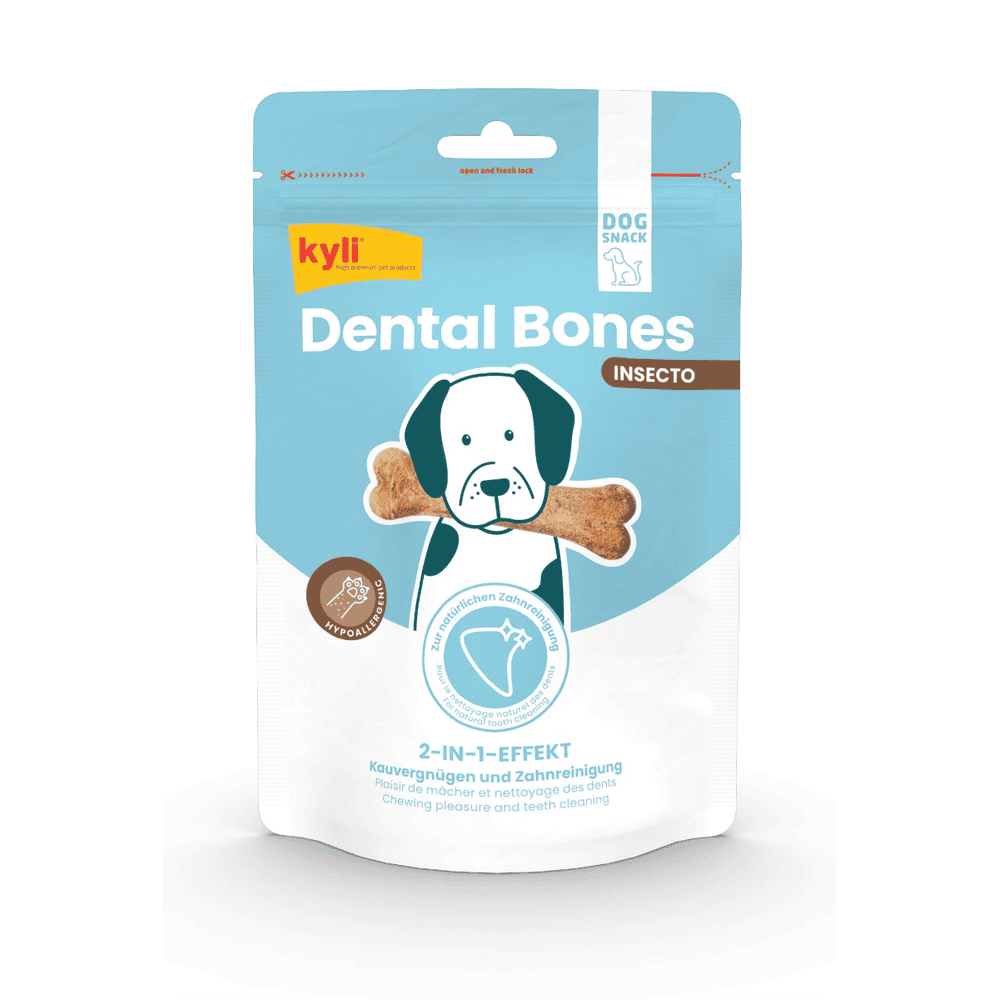 Dental Bones Insecto