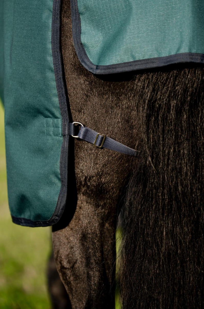 Amigo Ripstop 900D Pasture Rug green/silver