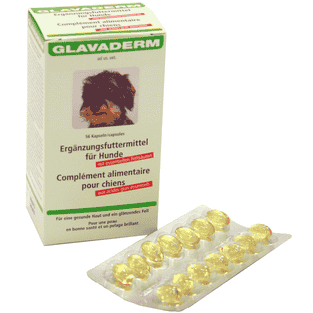 Glavaderm pour chiens