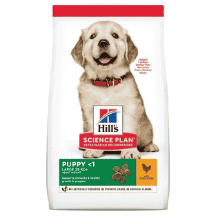 Puppy Large Breed