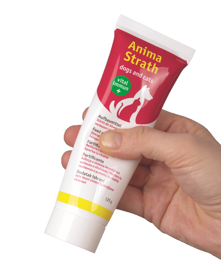 Anima Strath Paste