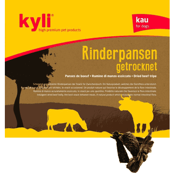 Beef rumen