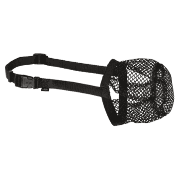 Protection anti-intoxication