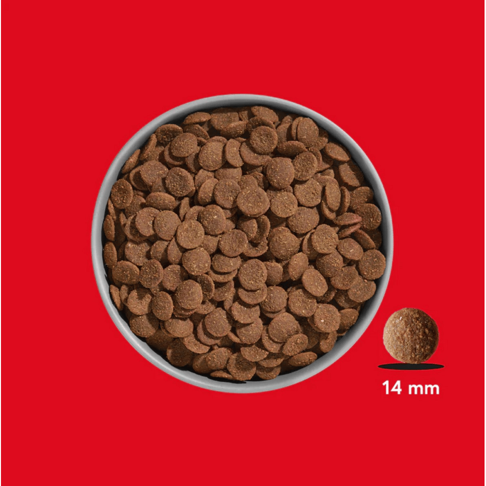 FRED Rind & Pferd Premium Trockenfutter
