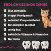 Zahnputzkohle Katze