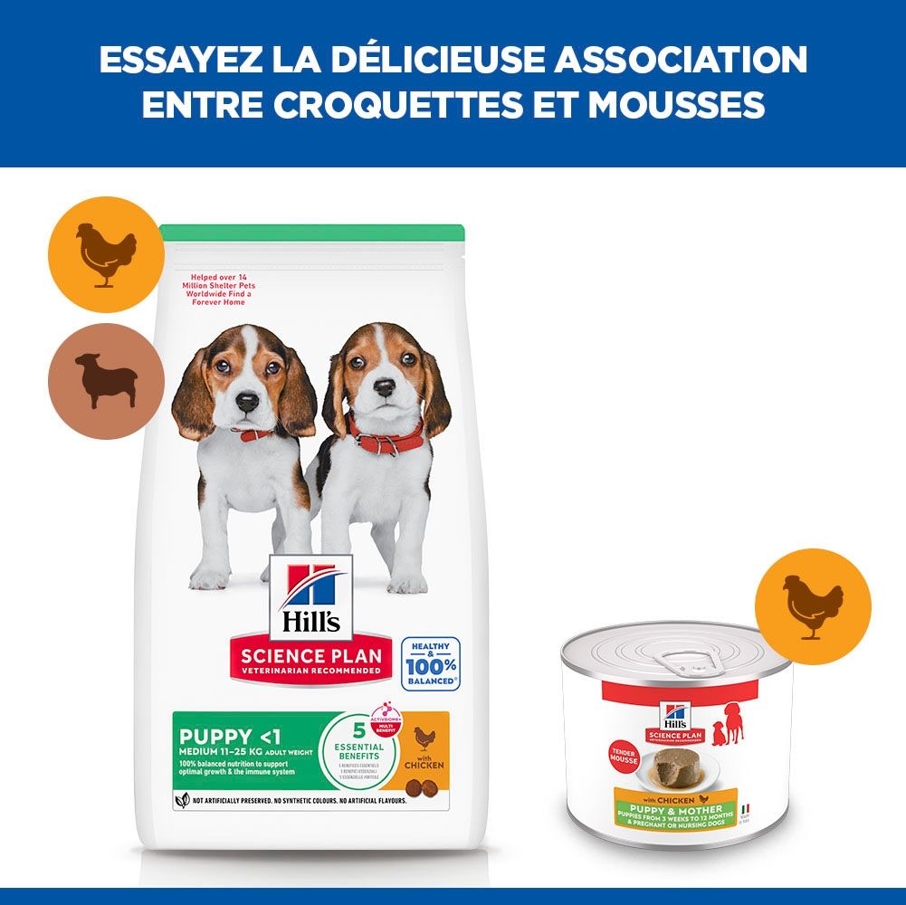 Puppy & Mother Tender Mousse - Boîte