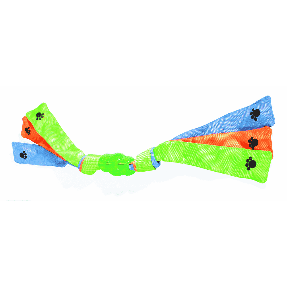 Tricolor-Dental-Play