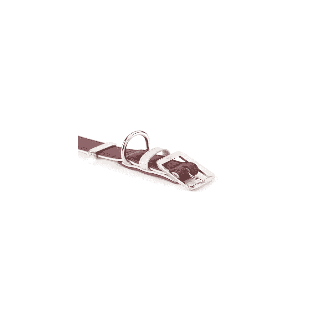 Hermitage Vitello collier pour chiens en bordeaux