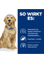 Canine j/d Reduced Calorie Mobility