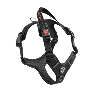 Harnais Harmonia Black