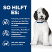 Canine c/d Multicare Urinary Care