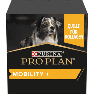 Dog Mobility +