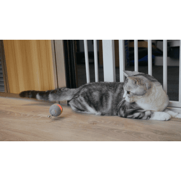 Ball M1