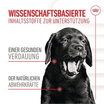 Immunity &amp; Digestion Chews Puppy Supplements