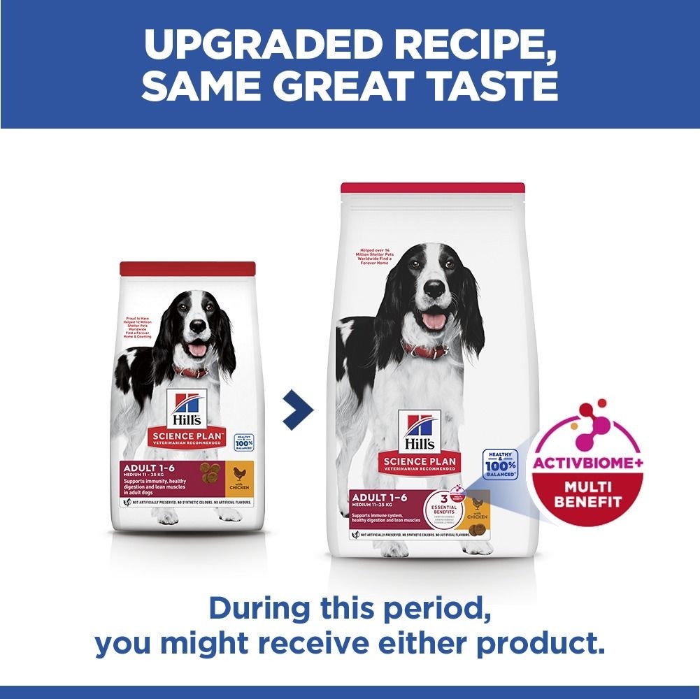 Canine Adult Medium Breed Chicken