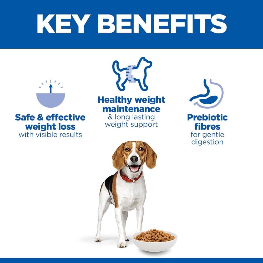 Canine Adult Perfect Weight Medium Breed