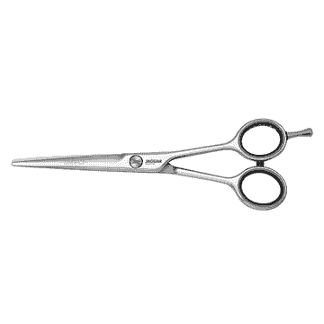 Silver Ice hairdressing scissors