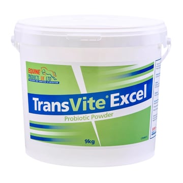 TransVite Excel