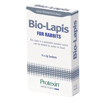 Bio-Lapis Rabbits