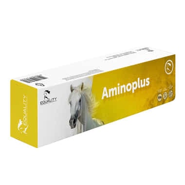 Aminoplus Pâte Syringe