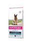 German Shepherd Adult