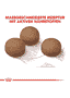 Maxi Digestive Care