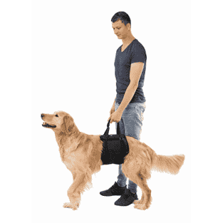 Aide au levage