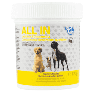 ALL IN