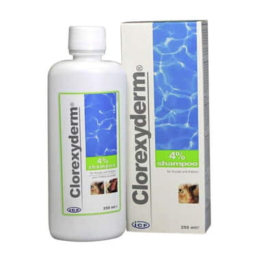 Clorexyderm Shampoo 4 %