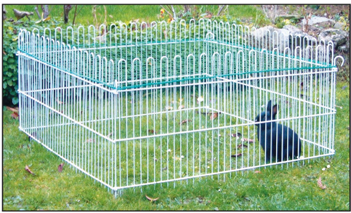 Enclos extérieur Bunny Dream