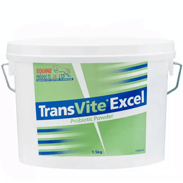 TransVite Excel