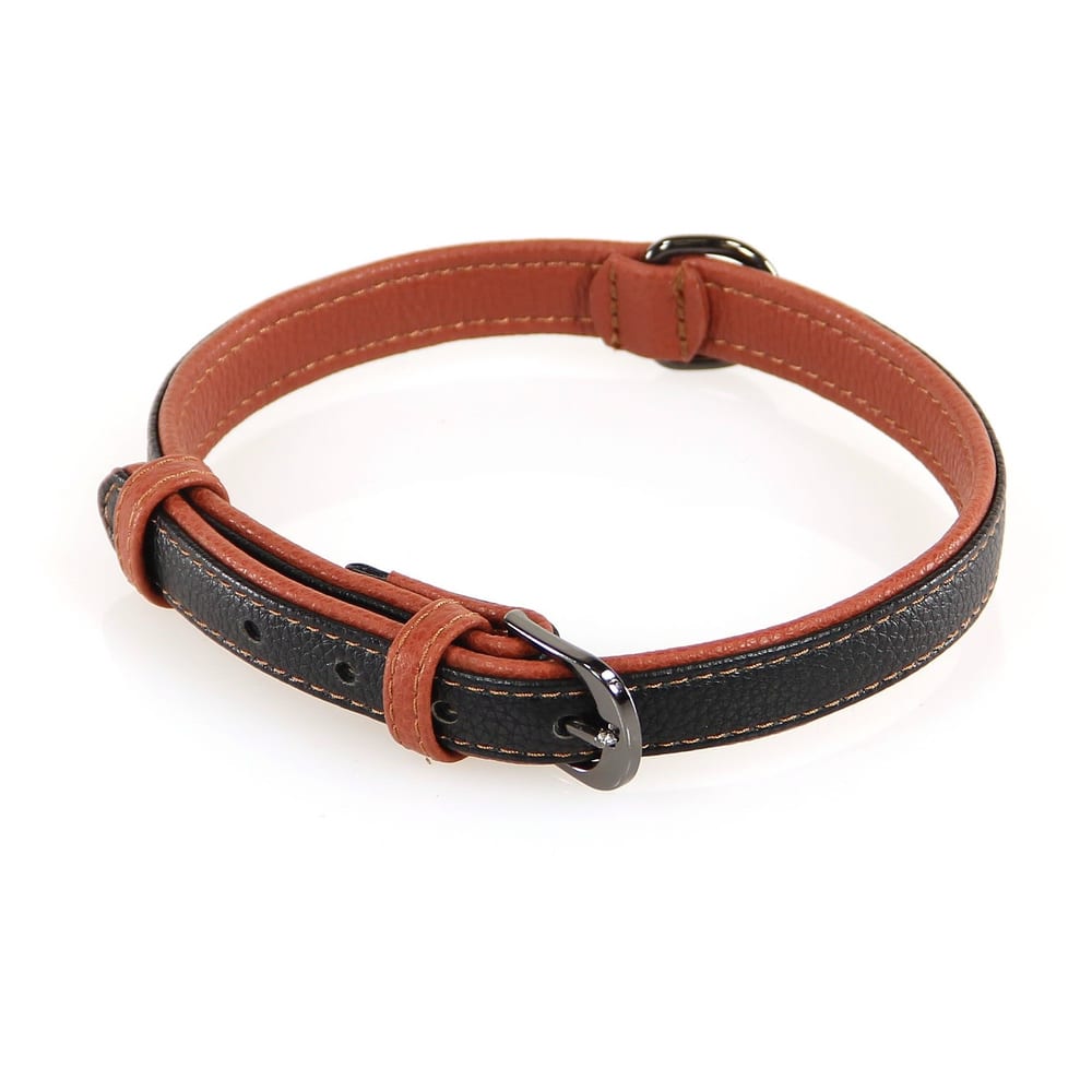 collier Dover