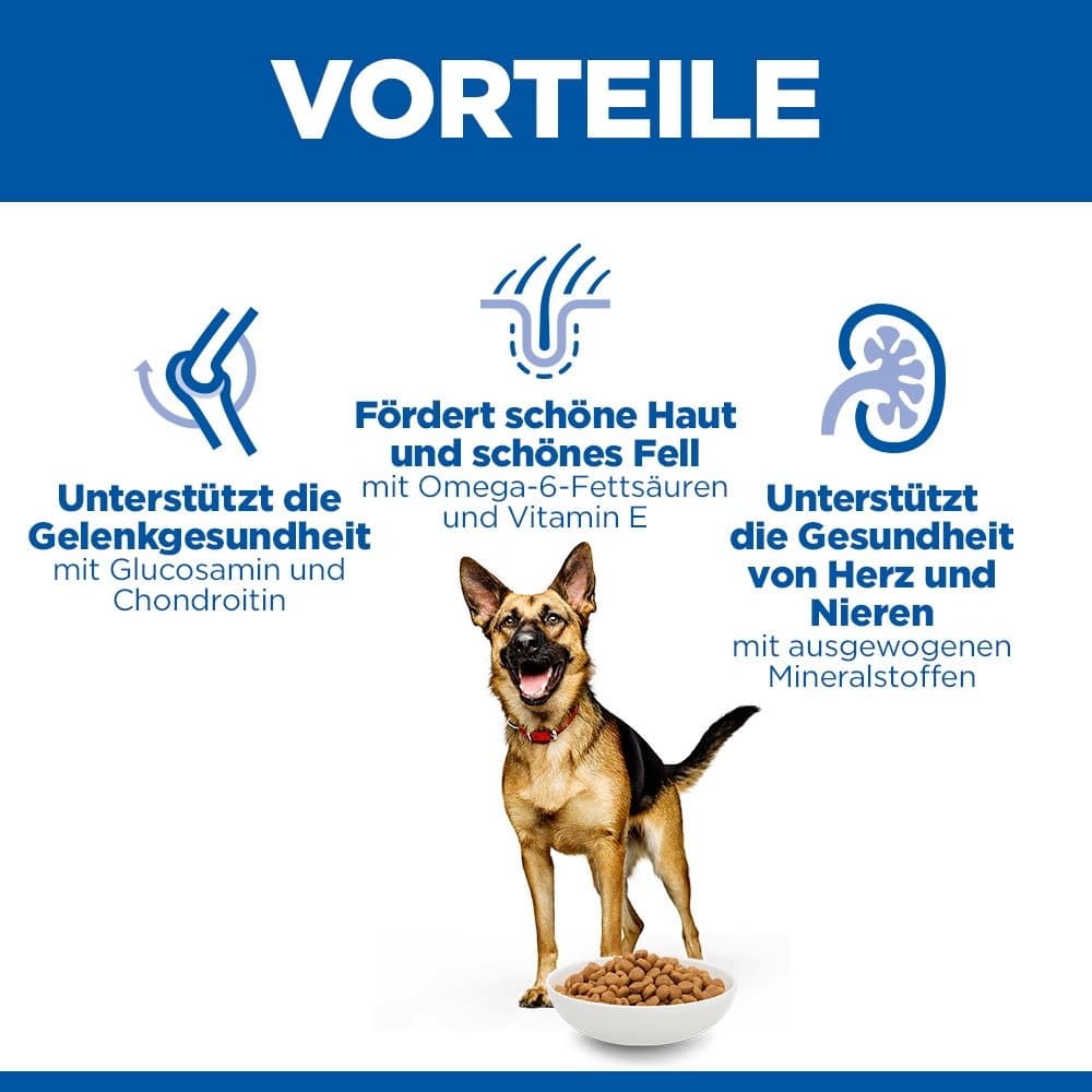 Canine Mature Adult 6+ Large Breed