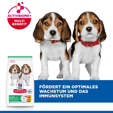 Puppy Medium Breed Chicken