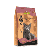 Katze - Symphonie No. 2 Lachs