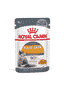 Hair & Skin Jelly - Sachet