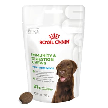 Immunity & Digestion Chews Puppy Supplements
